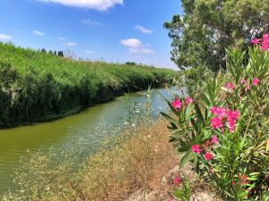 Ручей Александер