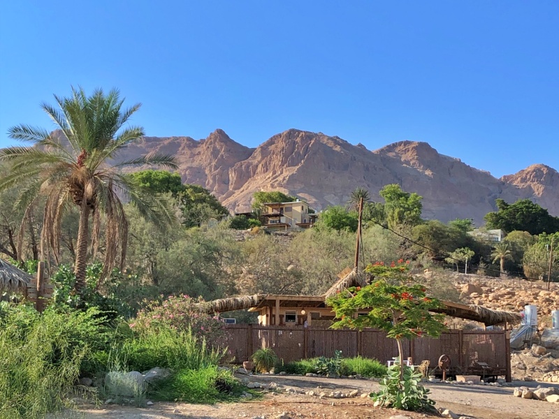 Кемпинг Ein Gedi Camp Lodge