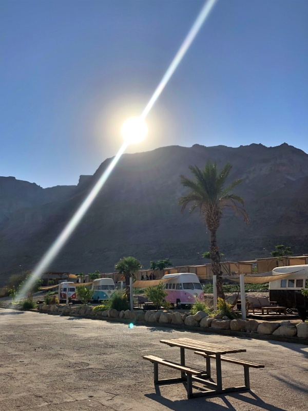 Кемпинг Ein Gedi Camp Lodge