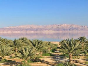 Суккот в пустыне