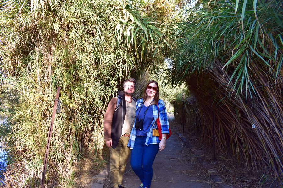 Агамон ха-Хула