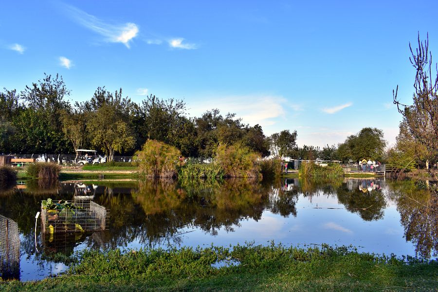 Агамон ха-Хула