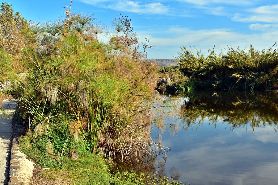 Агамон ха-Хула