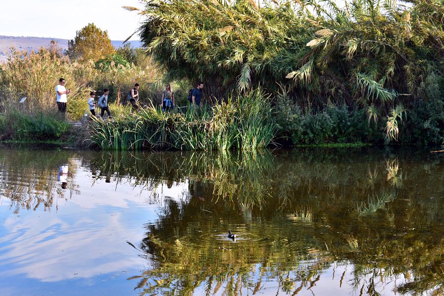 Агамон ха-Хула