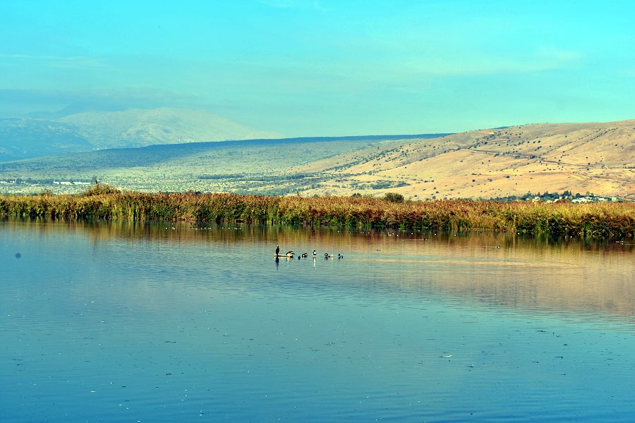 Агамон ха-Хула