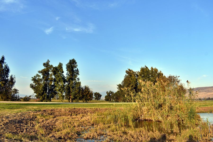 Агамон ха-Хула