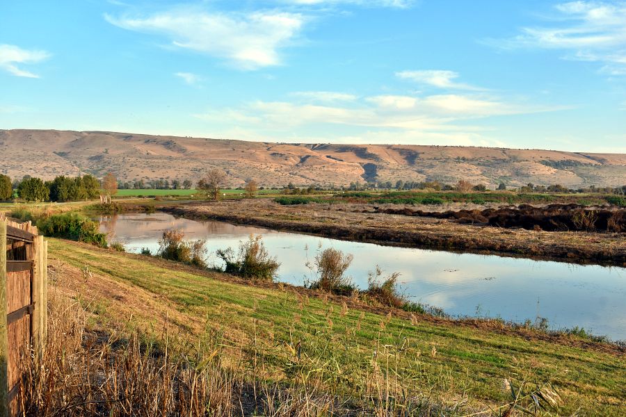 Агамон ха-Хула