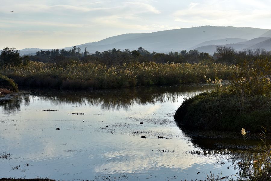 Агамон ха-Хула