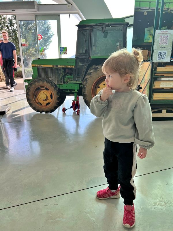 Агамон ха-Хула