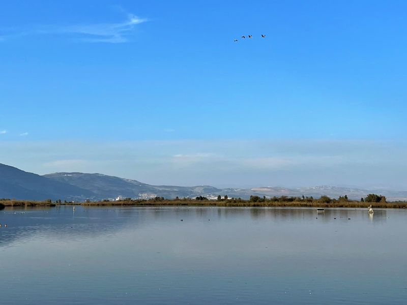 Агамон ха-Хула