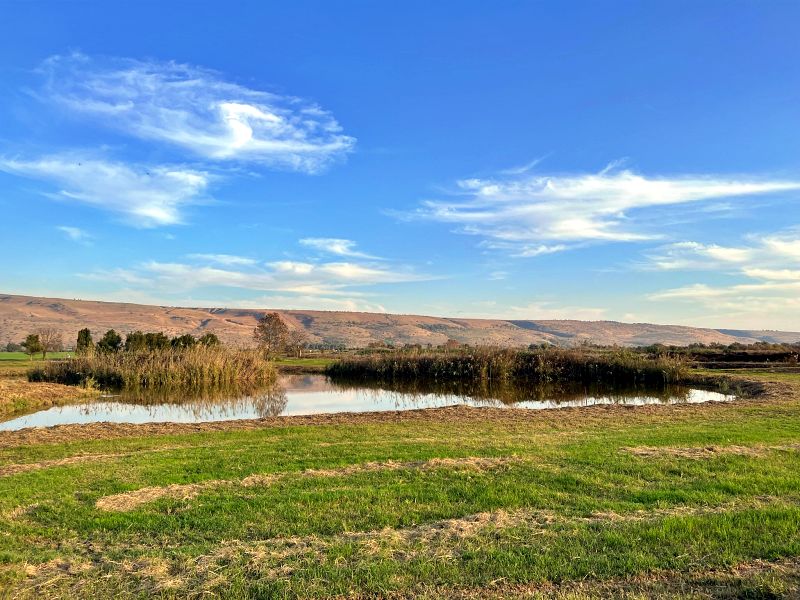 Агамон ха-Хула