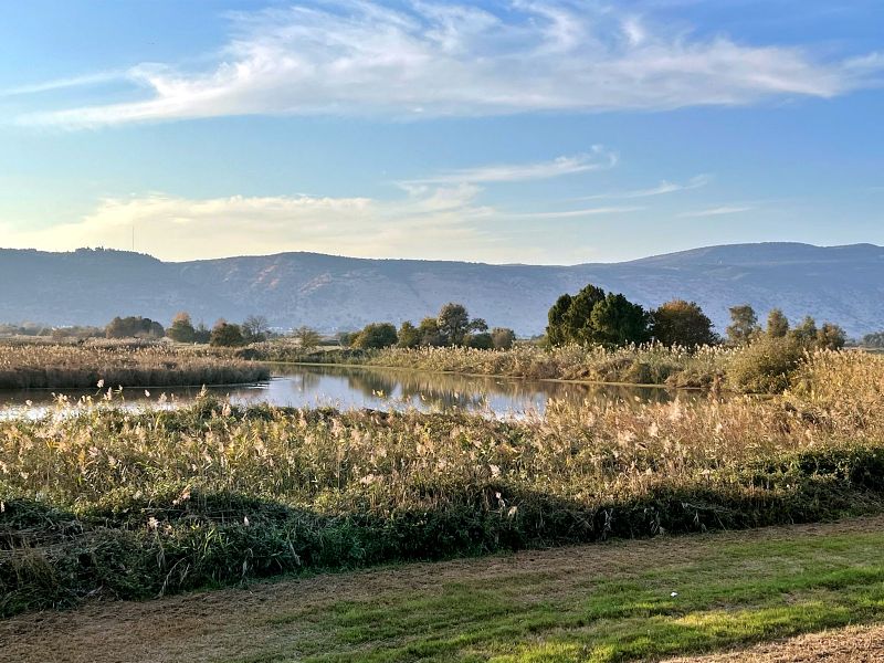 Агамон ха-Хула