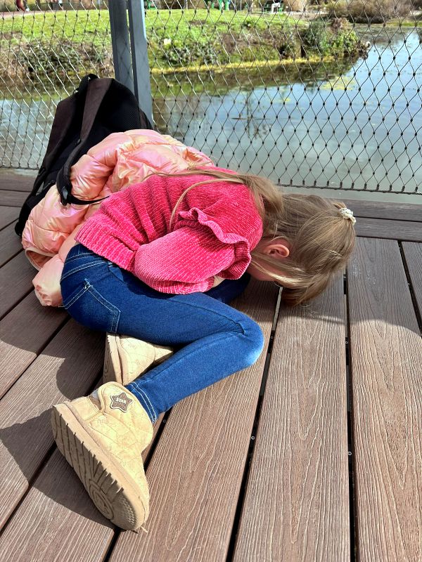 Агамон ха-Хула