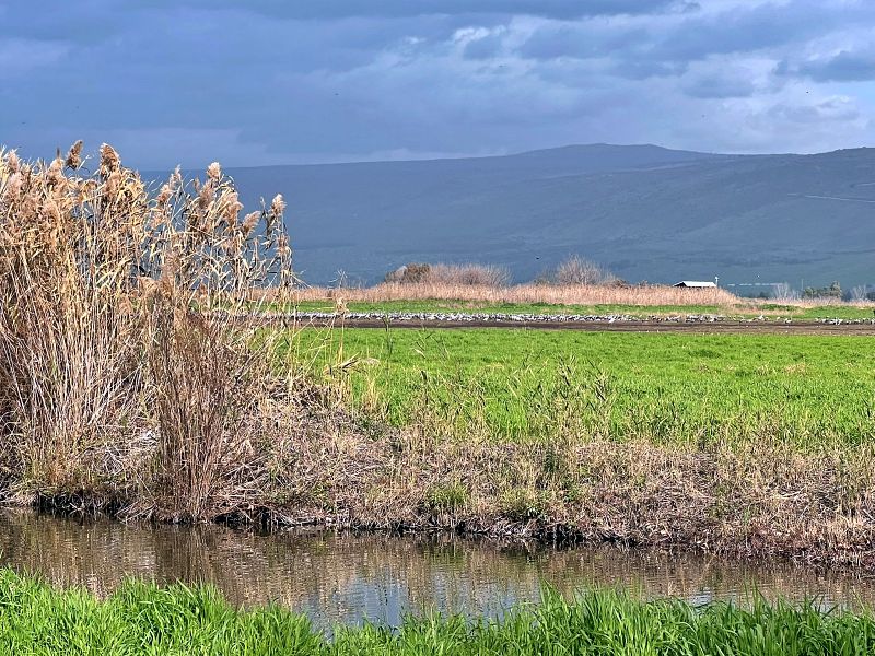 Агамон ха-Хула