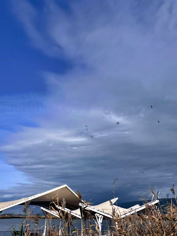 Агамон ха-Хула