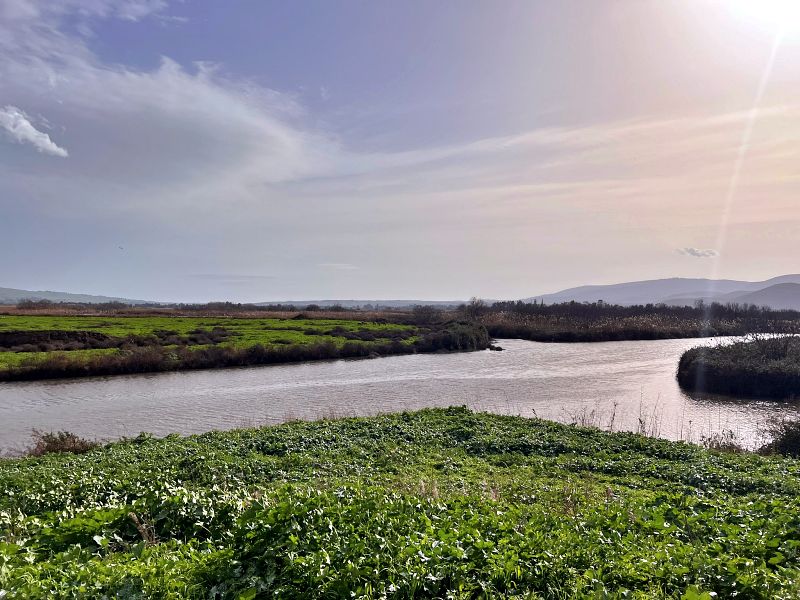 Агамон ха-Хула