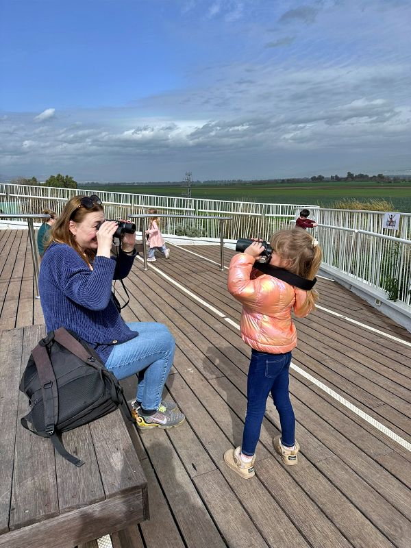 Агамон ха-Хула