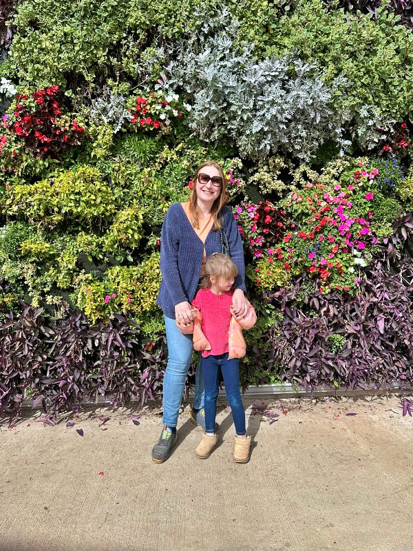 Агамон ха-Хула