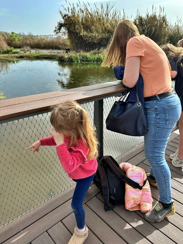 Агамон ха-Хула