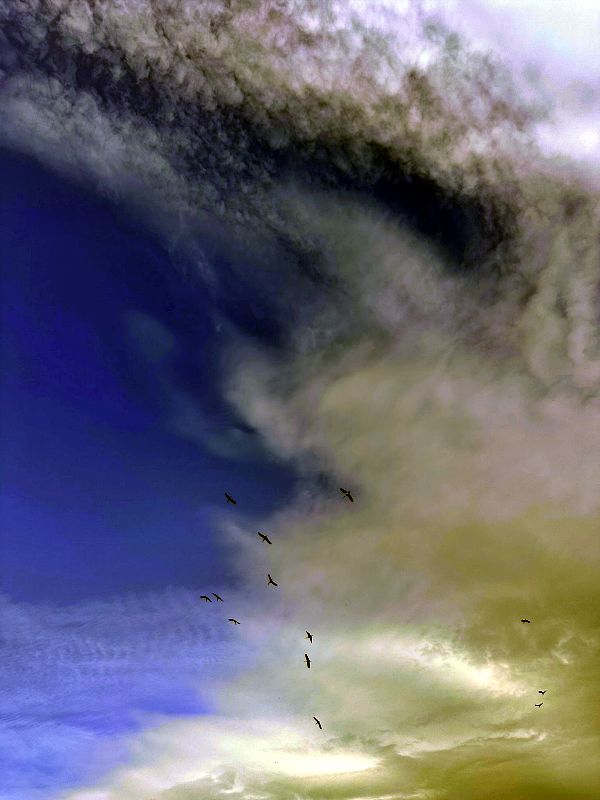 Агамон ха-Хула