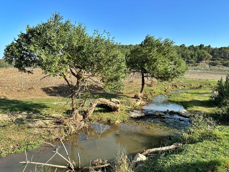 Мельница отшельника