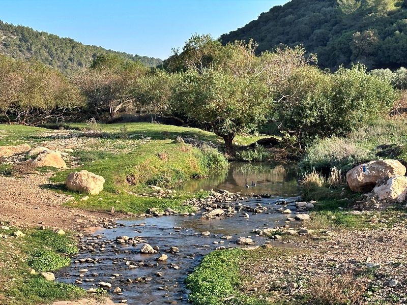 Мельница отшельника