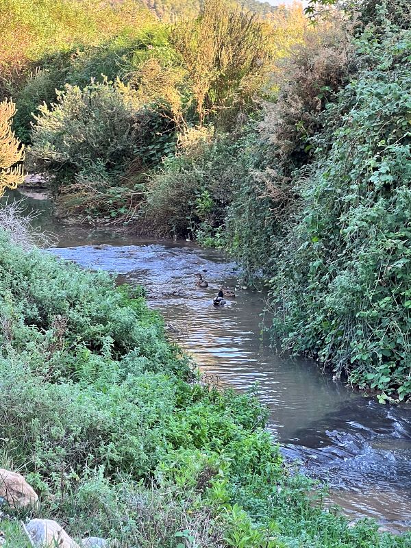 Мельница отшельника