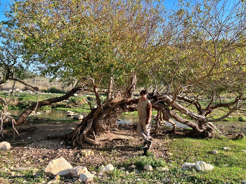 Мельница отшельника