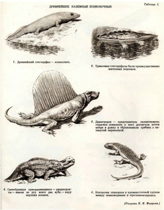Древнейшие наземные позвоночные