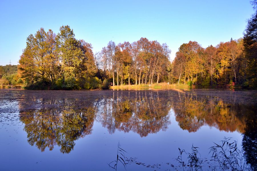 Середниково