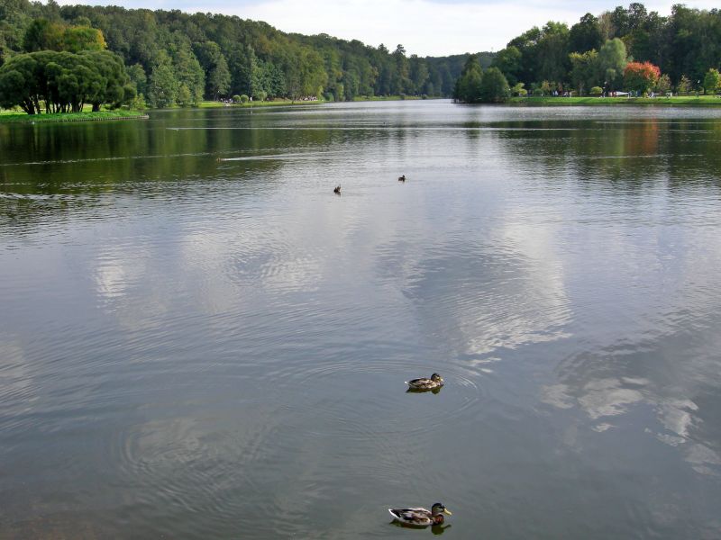 Царицыно