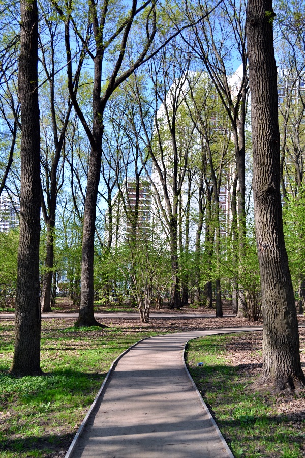 Воронцовские пруды