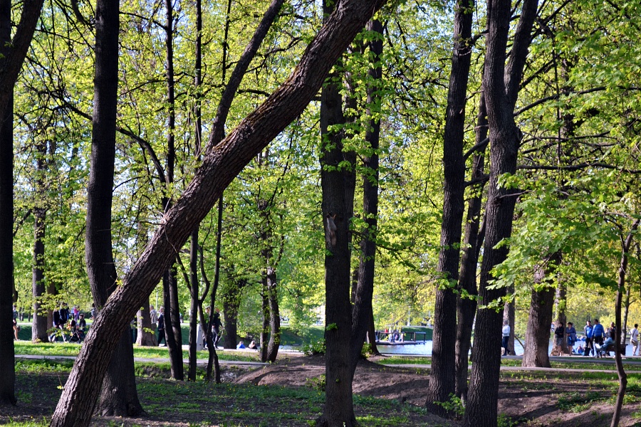 Воронцовские пруды