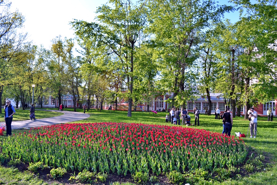 Воронцовские пруды