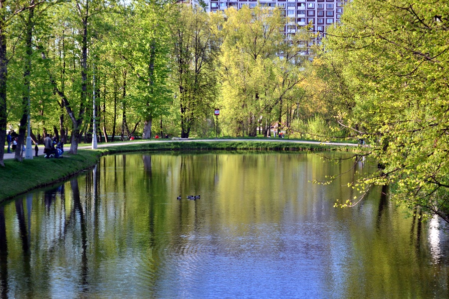 Воронцовские пруды