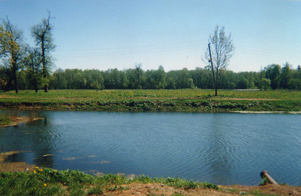 Пруд в парке