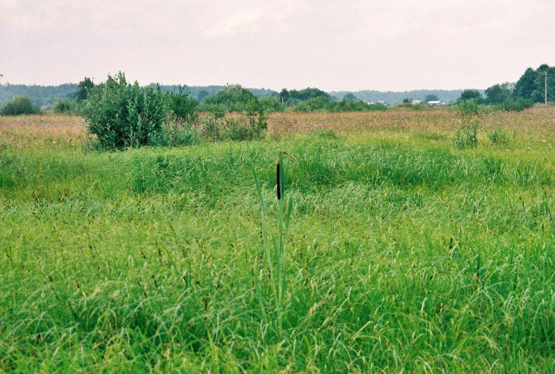Орехово