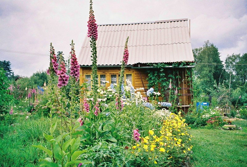Орехово