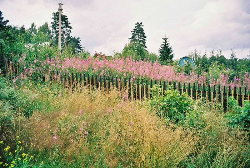 Орехово