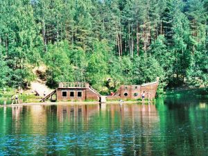 Ново-Кавголовский лесопарк