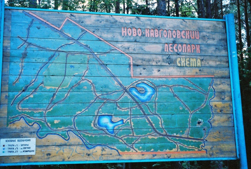 Новокавголовский лесопарк