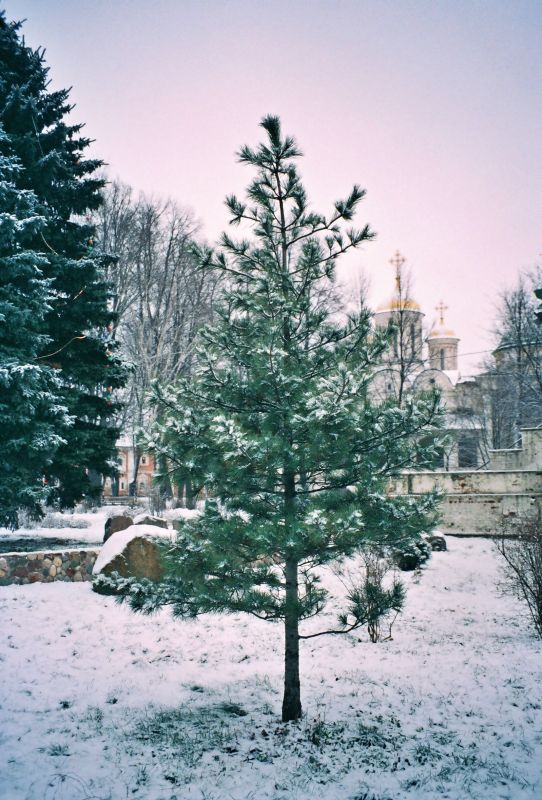 Ярославль